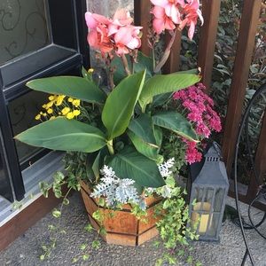 Meet your Posher, Carmen